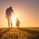 sunset shot of a father with toddler silhouetted agains the sun on a field of low cut grass